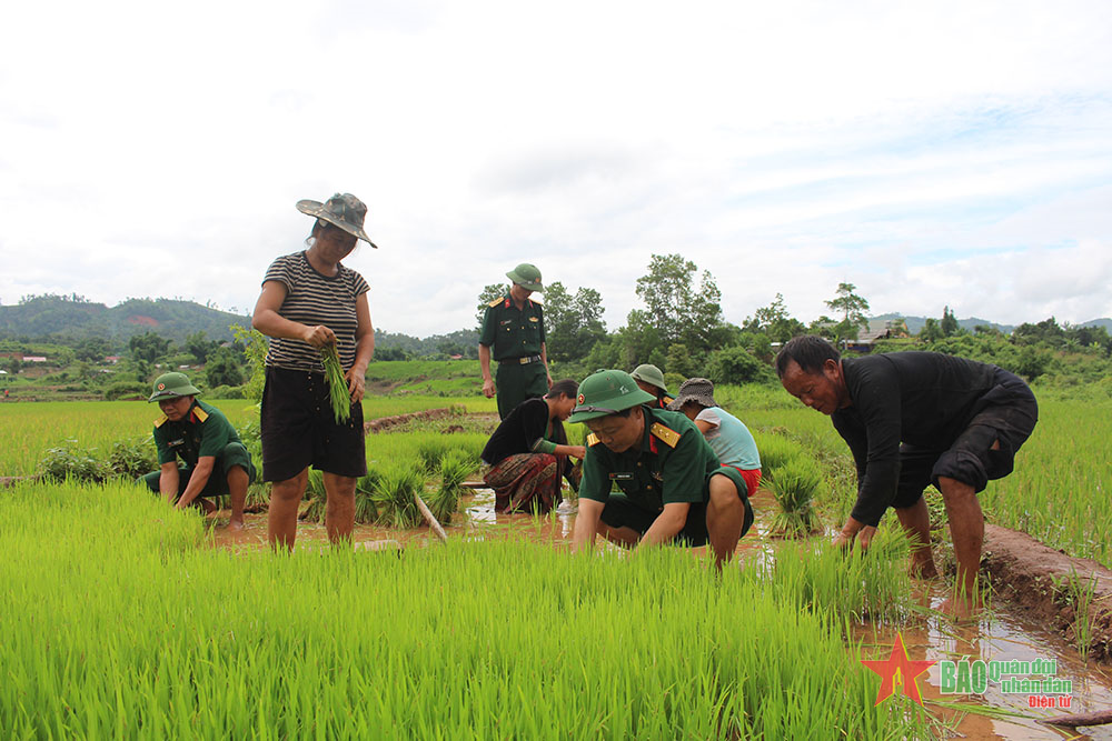 Đoàn Kinh tế - Quốc phòng 379 (Quân khu 2): Gắn bó máu thịt với đồng bào, xây dựng vùng biên vững mạnh